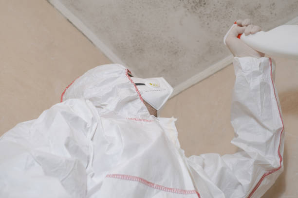 Attic Mold Removal in Mahopac, NY